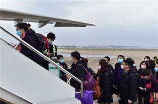 民航机长爆料新闻报道,揭秘航班安全背后的真相  第2张